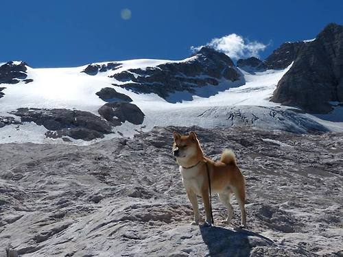 逆袭之夜！山西队用三分雨浇灭新疆，这场爆冷给CBA带来了什么？