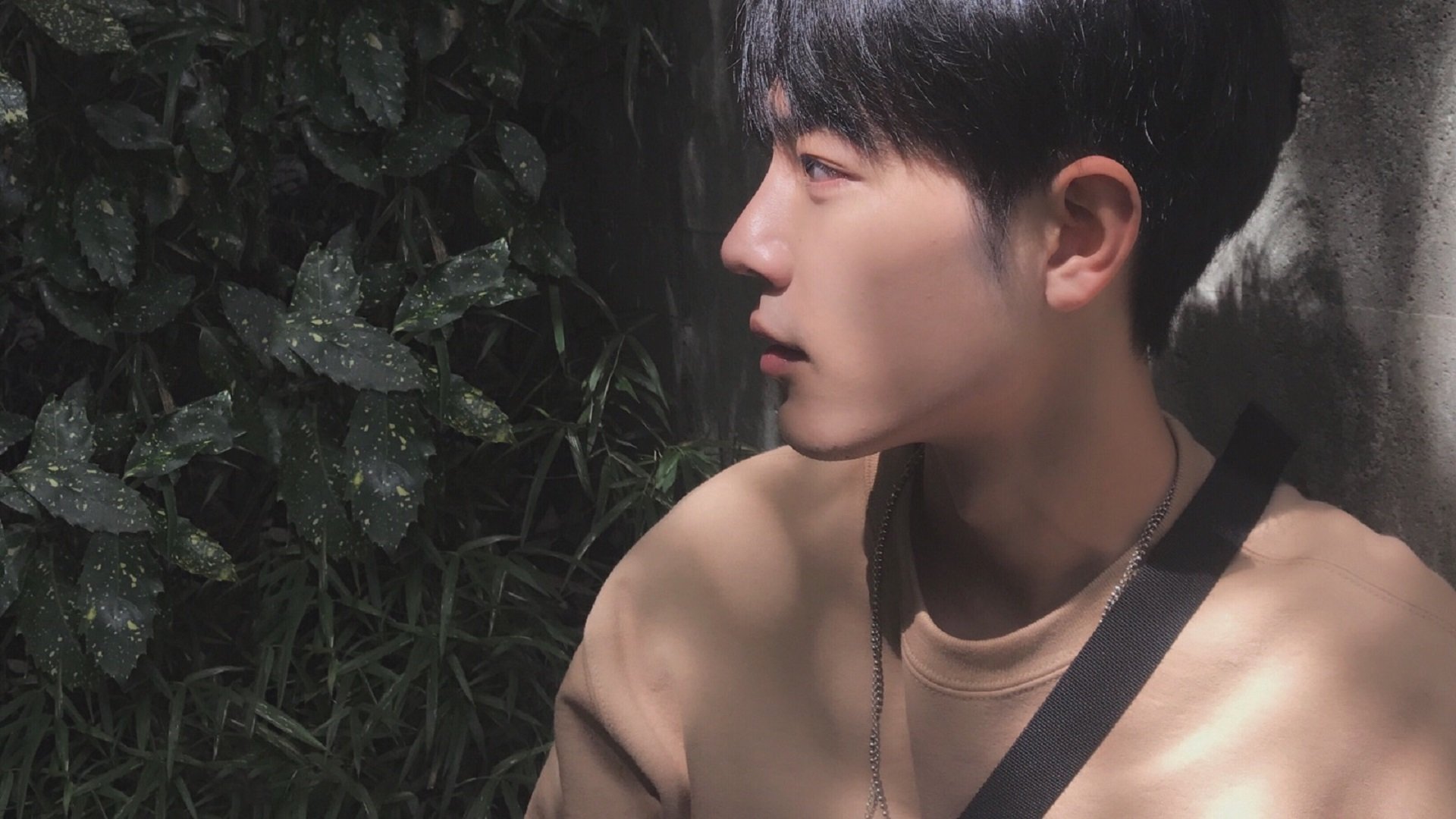 荷兰铁壁，当德里赫特一肩扛起全队，现代足球还需要孤胆英雄吗？