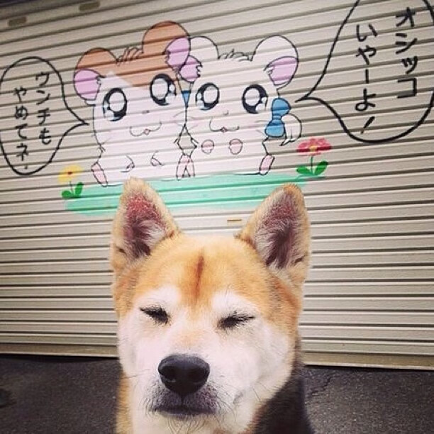 攻防两端全能统治！奥亚尔萨瓦尔闪耀瑞士vs国际米兰焦点战